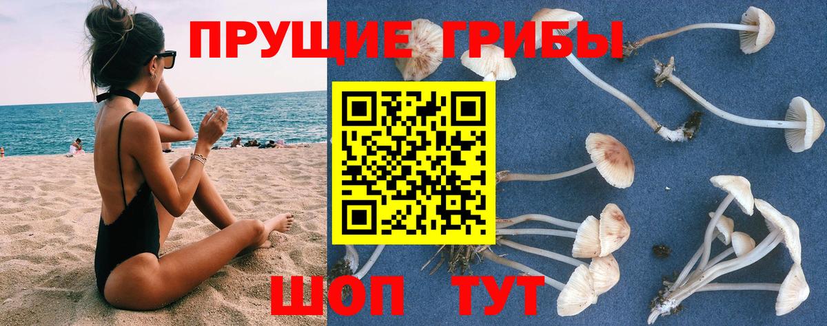 Отрадный  Псилоцибиновые грибы GOLDEN TEACHER  Вход с VPN 